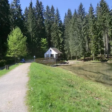 Holiday home Ferienhaus In Grunheide Mit Grill, Garten Und Terrasse *